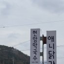 애니닭갈비 | [춘천 맛집] 동치미 막국수 맛집, 현암막국수, 애니닭갈비ㅣ전현무계획 춘천, 메뉴, 주차