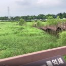 생태와대구 이미지