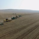 중부야채 이미지