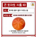 토마토 자르는 법 이미지