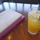 댕이맘마 이미지