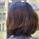 신세대타운상가 이미지