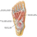 헬스보이짐 문래역점 이미지