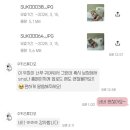 STUDIO202(스튜디오202) | 수키스튜디오 / 부산아기성장앨범,부산감성스튜디오,본아트 내돈내산 후기