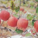 열방농장 이미지