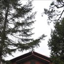 소래목장 이미지