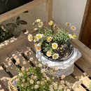 배티하우스 이미지