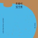 이승장 Daum카페