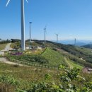 육백마지기 이미지