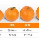 예원농장 이미지