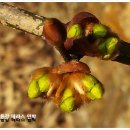 산천초목민박 이미지