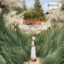 2025년09월10일 (수) 청산수목원.파도리해식동굴.천리포수목원.해어름카페.1950카페 (러브) 이미지