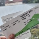 남산&N서울타워 | N서울타워 직접 다녀온 솔직 후기 | 케이블카·데이트 코스·사진 스팟 완전공개