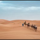 경희살힘한의원 이미지