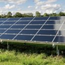 광이농장 이미지