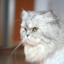 나음동물병원 이미지