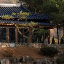 단심스테이 이미지