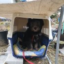 대일가축약품 이미지