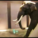 숭실농장 이미지