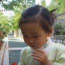 효은 카카오 검색결과