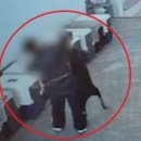 리본반려견 유치원 이미지