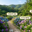 청평역 택시정류소 | 가평 아침고요수목원 수국 전시회 대중교통으로 편하게 다녀왔어요