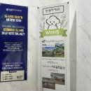 멍설살롱 | 잠실 석촌역 애견미용실 추천 살롱드위드멍