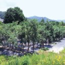 소유농원 이미지