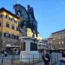 메디치약국 이미지