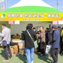 화야산작목반