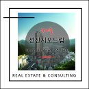 선진드림 네이버블로그