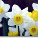 남남무도장 이미지