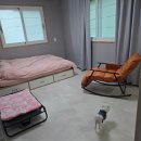 이소리111 멍펜션 이미지