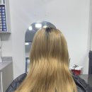 조금자 헤어