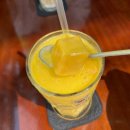 홍방 | 베트남 나트랑 시원한 대형카페 추천 씨씨씨피 커피 홍방 CCCP COFFEE HỒNG BÀNG