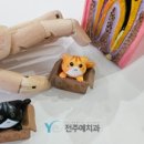 전주예치과의원 이미지