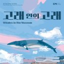 고래 - 남양주시 | 고래