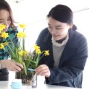 플라워뷰티