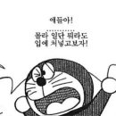 대성야채 - 중랑구 | 대성야채