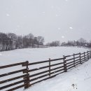 주선목장 이미지