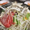 홍봉자치즈굴림만두