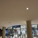 아프리카 안경 | 아프리카안경 동탄레이크꼬모점 내돈내산 솔직후기