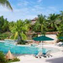 알레그레 이미지