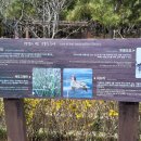 갈맷길(5-1구간) 이미지