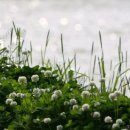 코모도무도장 이미지