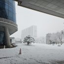 은빛스마트폰기초 | 스마트폰 홍보 사진 촬영과 편집 기법 - 화성시여성가족청소년재단 유앤아이센터