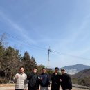 헤비핸즈복싱 이미지