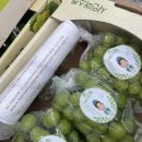 아이캔 하이 태권도장 이미지