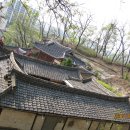 영주동반구정 이미지