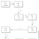 라듐이 라돈이 된후 안정화되는붕괴과정 공유합니다 이미지
